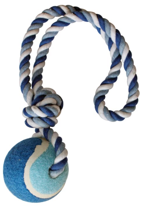 Dog Toy - Ball with a Rope